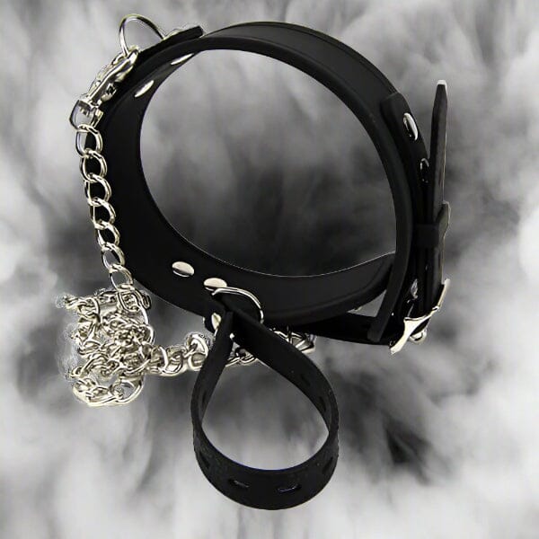 Bound to Please Silicone Collar and Lead Fetish My Amazing Fantasy