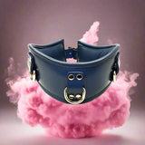 Leather Padded Posture Collar in Blue