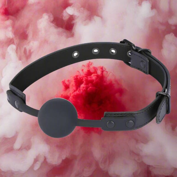 Me You Us Ball Gag Fetish My Amazing Fantasy