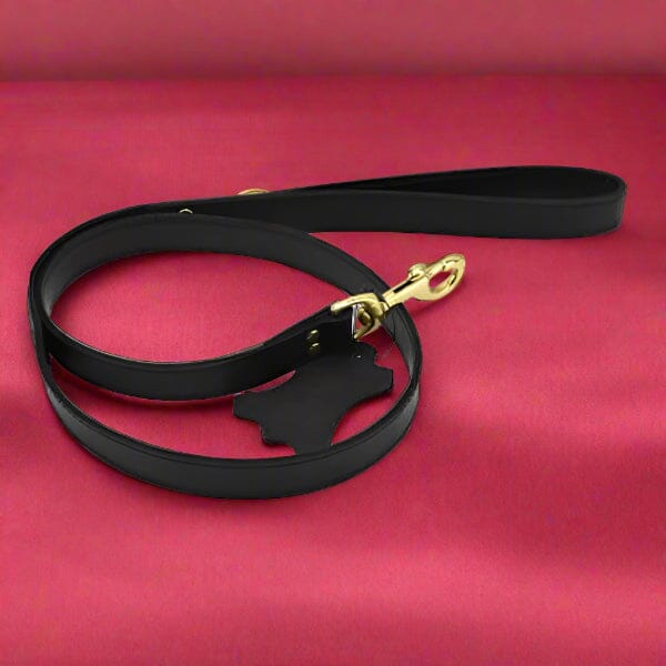 Nubuck Leather Leash Fetish My Amazing Fantasy