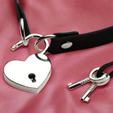 Master Series Lock It Heart Lock and Key Fetish My Amazing Fantasy 