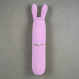 Nauti Petites 10 Speed Rabbit Vibrator Clit Stimulation My Amazing Fantasy 